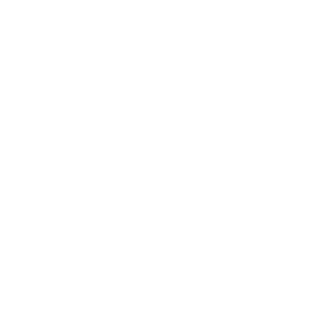 png logo blanco
